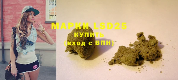 прущие грибы Армянск
