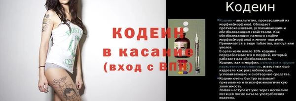 прущие грибы Армянск