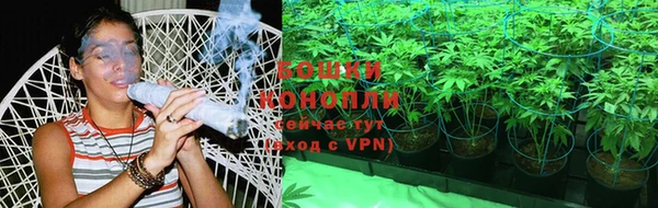 прущие грибы Армянск