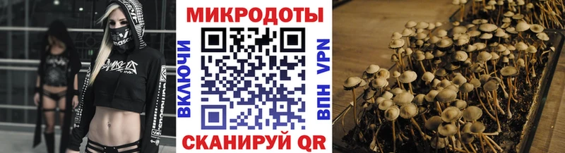 Галлюциногенные грибы Cubensis  где купить наркотик  Вязники 